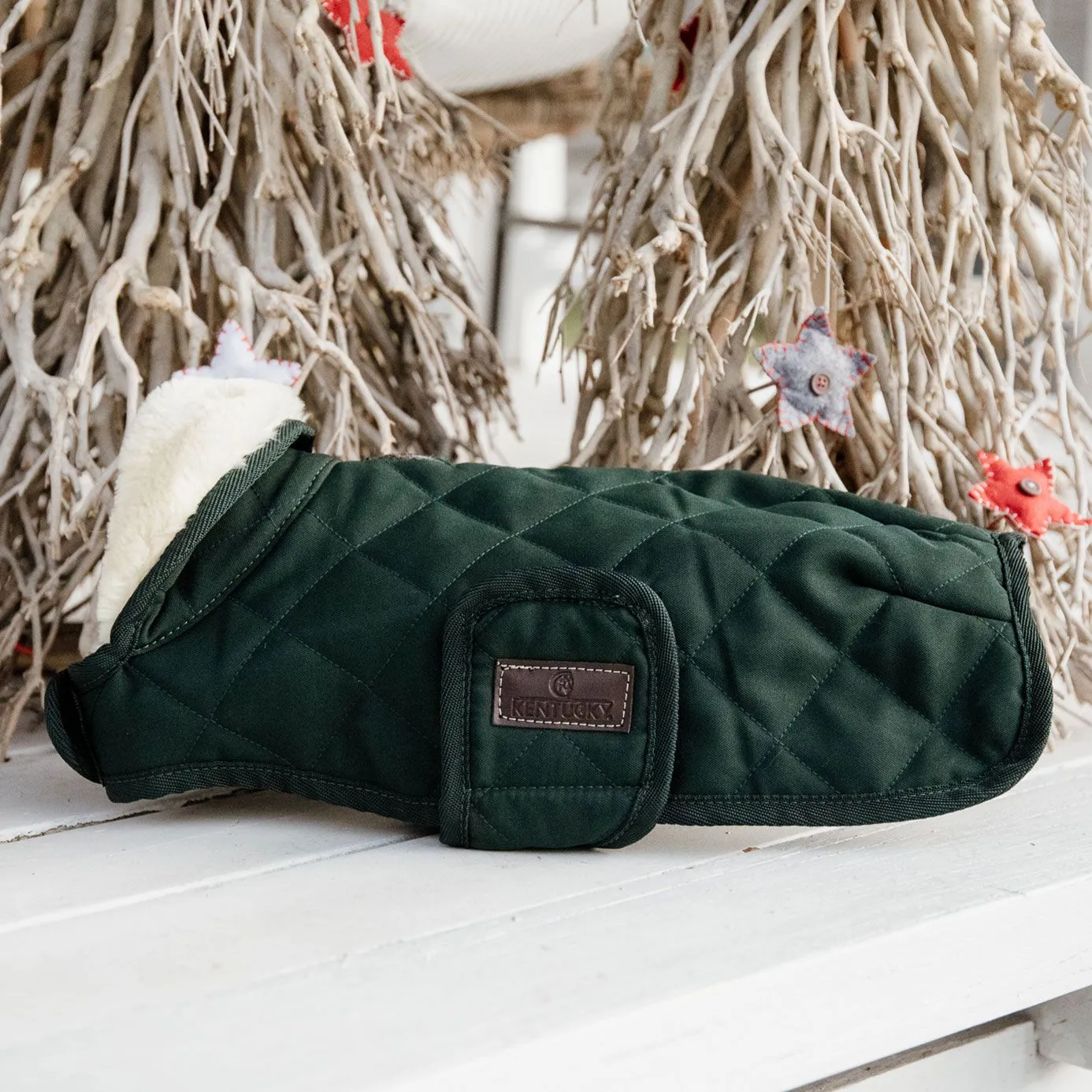Kentucky Dogwear Dog Coat - Dark Green