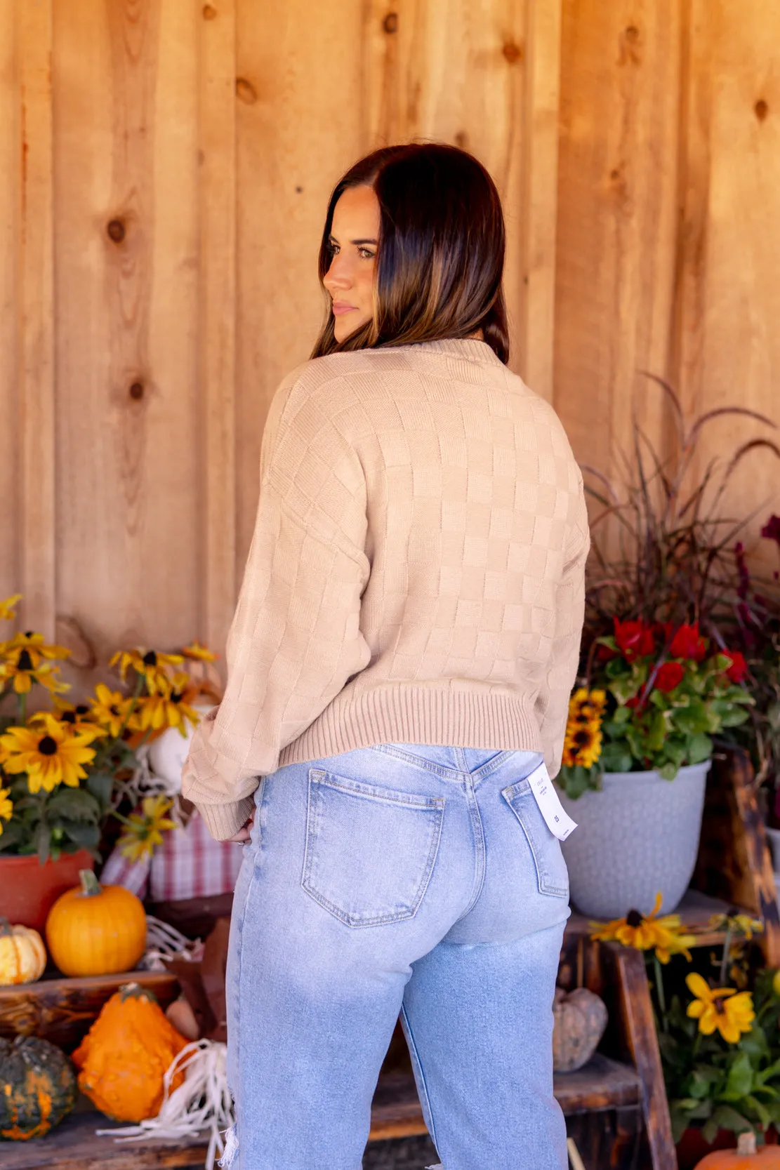 Siena Checkered Knit Sweater | Taupe