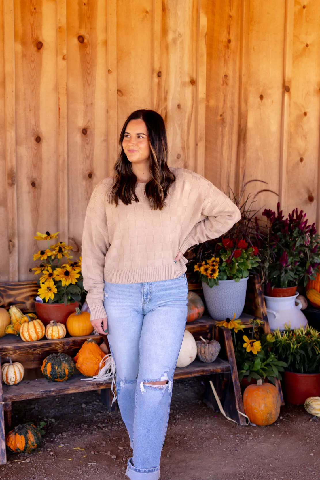 Siena Checkered Knit Sweater | Taupe